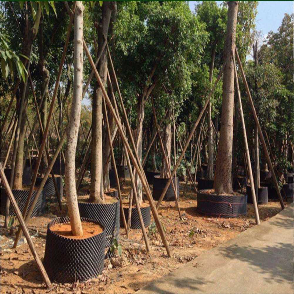 Kweekcontainer Tuin Boom Bonsa - Nursery recensie en prijs