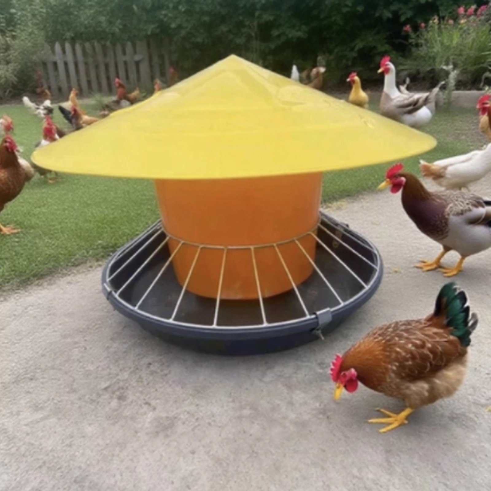 Ronde pluimveevoederbak Pluimv - Feeding recensie en prijs