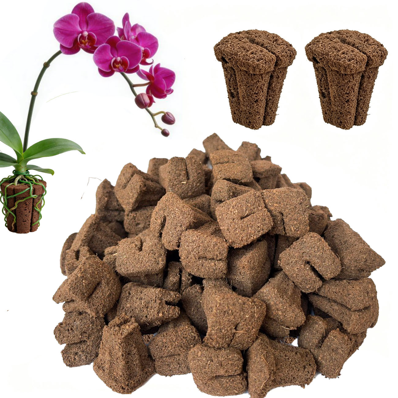Hydroponische snelkweek-wortel - Nursery recensie en prijs