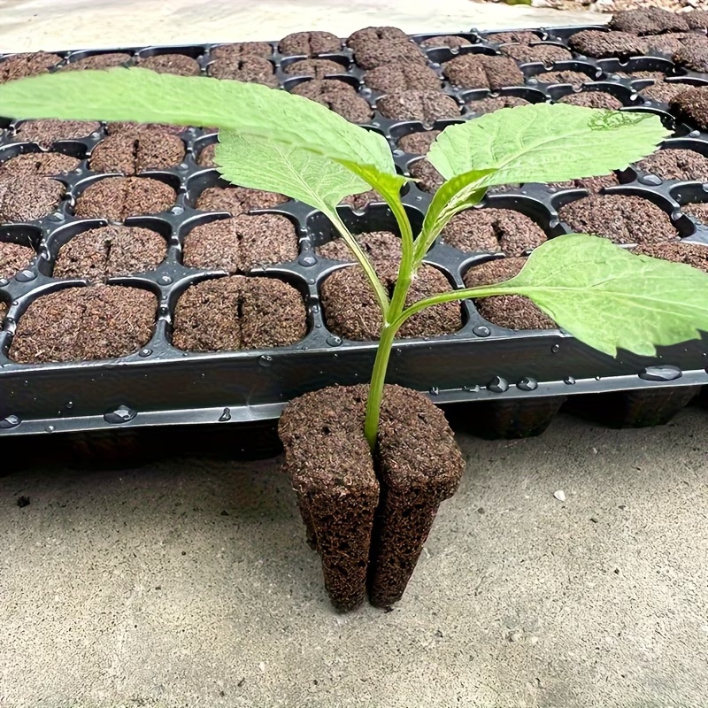 Hydroponische snelkweek-wortel - Nursery recensie en prijs